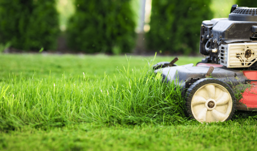 LAWN MOWING